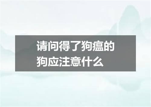 请问得了狗瘟的狗应注意什么