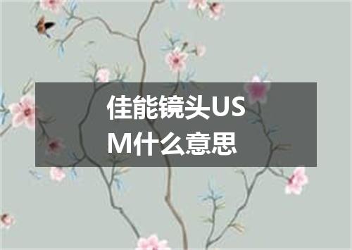 佳能镜头USM什么意思