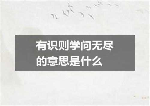 有识则学问无尽的意思是什么