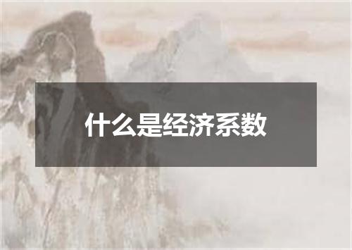什么是经济系数
