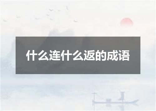 什么连什么返的成语