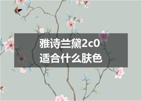 雅诗兰黛2c0适合什么肤色