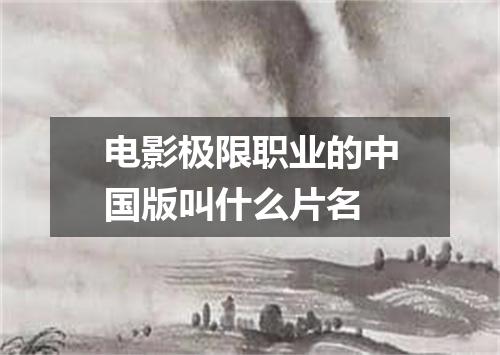 电影极限职业的中国版叫什么片名