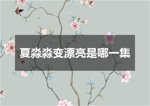 夏淼淼变漂亮是哪一集
