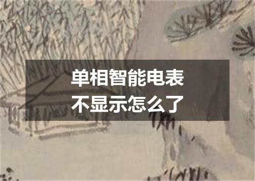 单相智能电表不显示怎么了