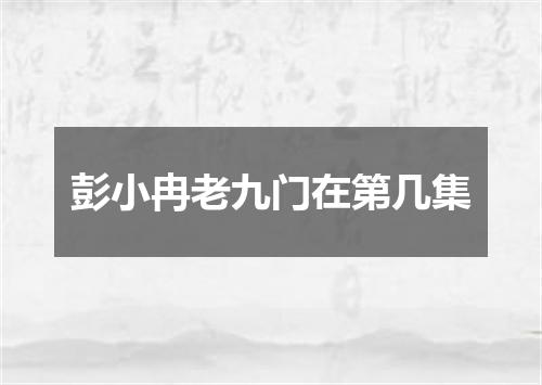 彭小冉老九门在第几集