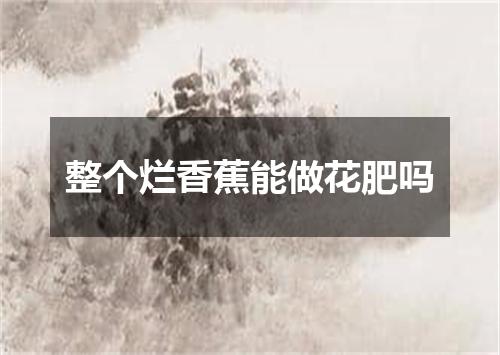 整个烂香蕉能做花肥吗