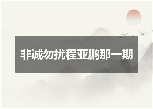非诚勿扰程亚鹏那一期