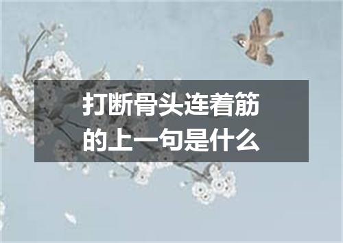 打断骨头连着筋的上一句是什么