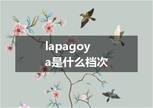 lapagoya是什么档次