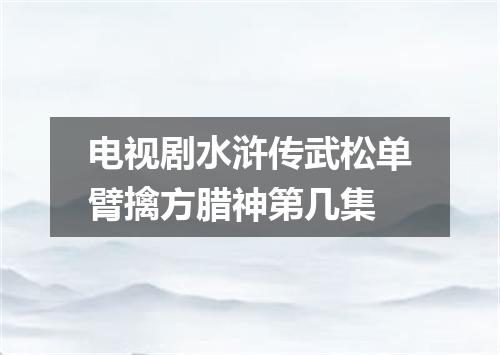 电视剧水浒传武松单臂擒方腊神第几集
