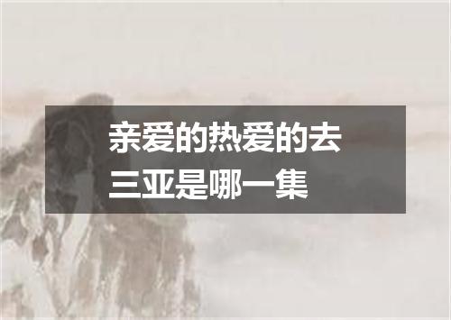 亲爱的热爱的去三亚是哪一集