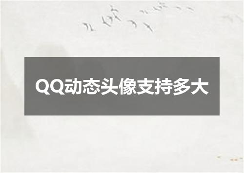 QQ动态头像支持多大