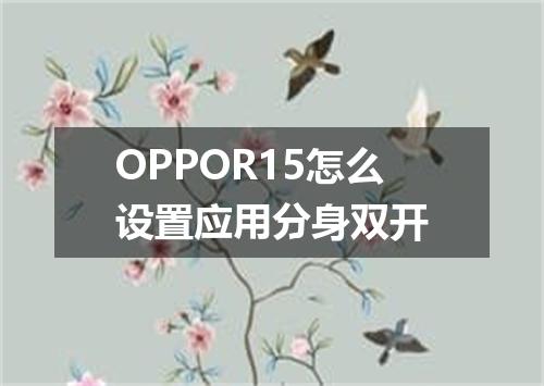 OPPOR15怎么设置应用分身双开