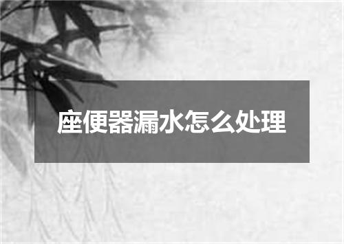 座便器漏水怎么处理