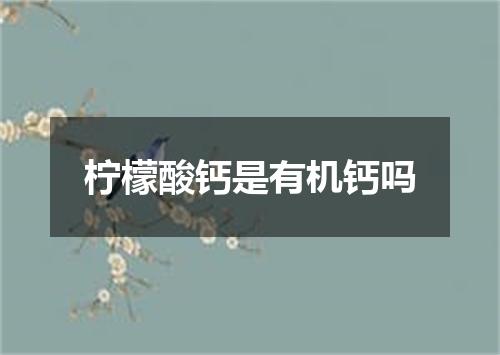 柠檬酸钙是有机钙吗