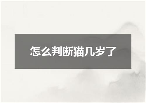 怎么判断猫几岁了