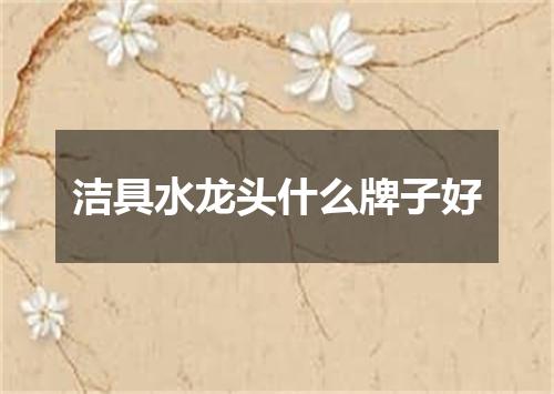 洁具水龙头什么牌子好