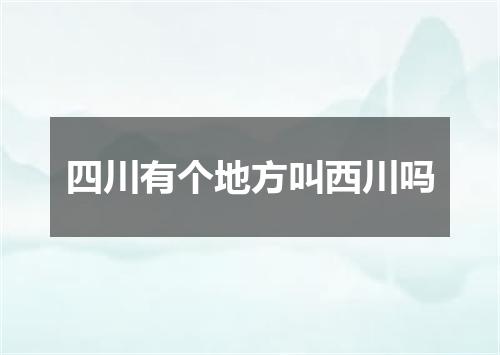 四川有个地方叫西川吗