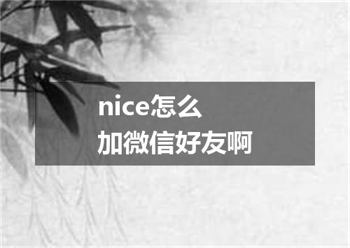 nice怎么加微信好友啊