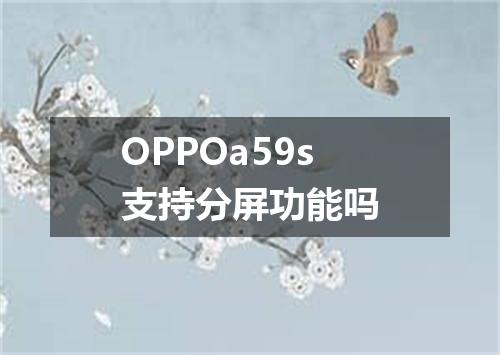 OPPOa59s支持分屏功能吗