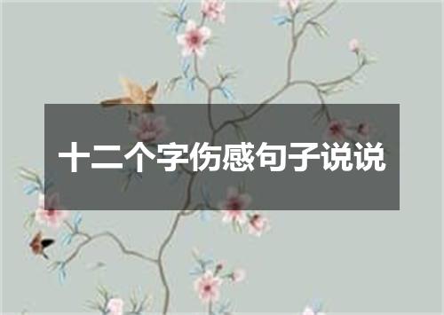 十二个字伤感句子说说