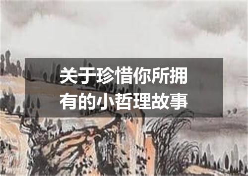 关于珍惜你所拥有的小哲理故事