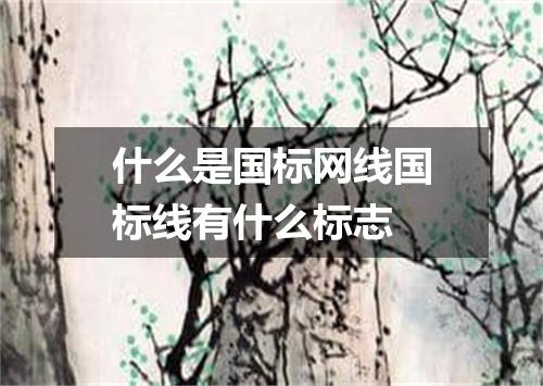 什么是国标网线国标线有什么标志