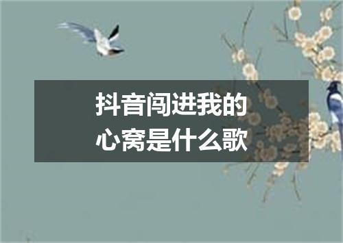 抖音闯进我的心窝是什么歌