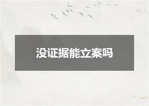 没证据能立案吗