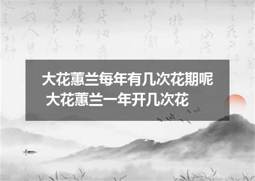 大花蕙兰每年有几次花期呢 大花蕙兰一年开几次花