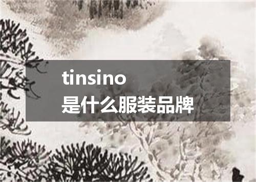 tinsino是什么服装品牌