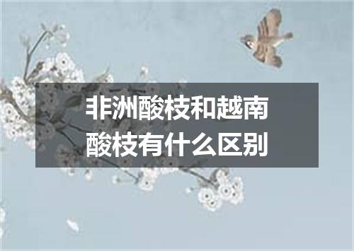 非洲酸枝和越南酸枝有什么区别