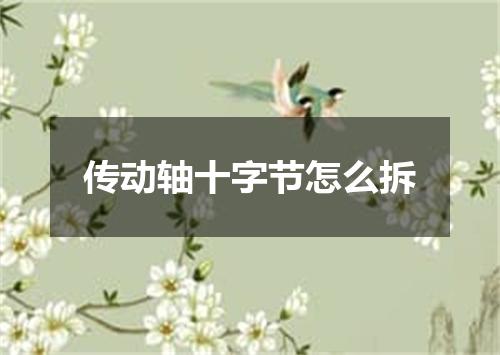 传动轴十字节怎么拆