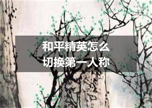 和平精英怎么切换第一人称