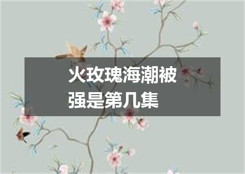 火玫瑰海潮被强是第几集
