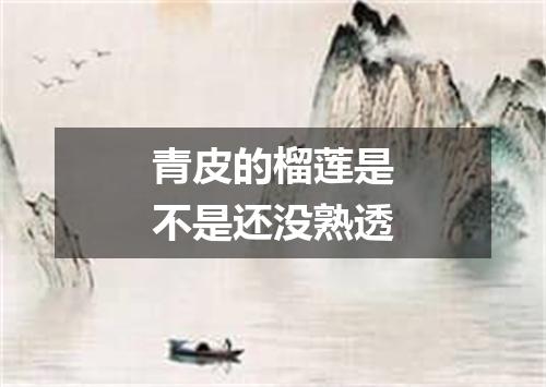 青皮的榴莲是不是还没熟透