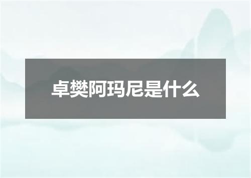 卓樊阿玛尼是什么