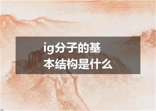 ig分子的基本结构是什么