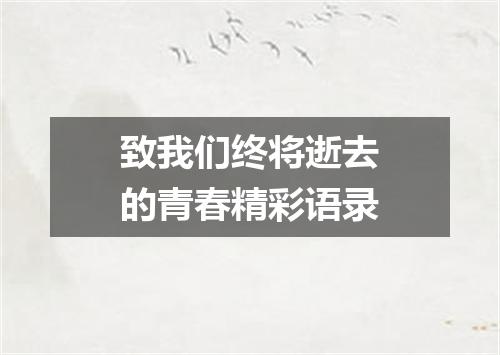 致我们终将逝去的青春精彩语录