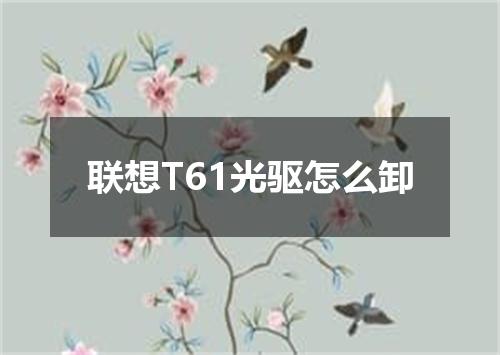 联想T61光驱怎么卸