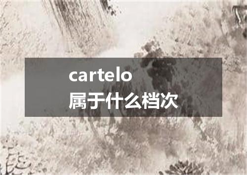cartelo属于什么档次