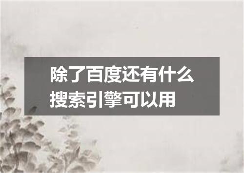 除了百度还有什么搜索引擎可以用