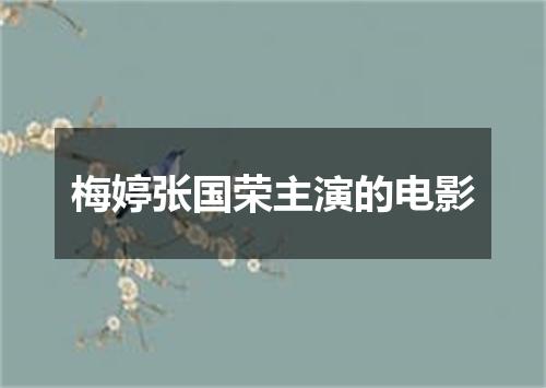 梅婷张国荣主演的电影
