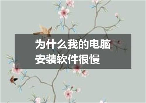 为什么我的电脑安装软件很慢