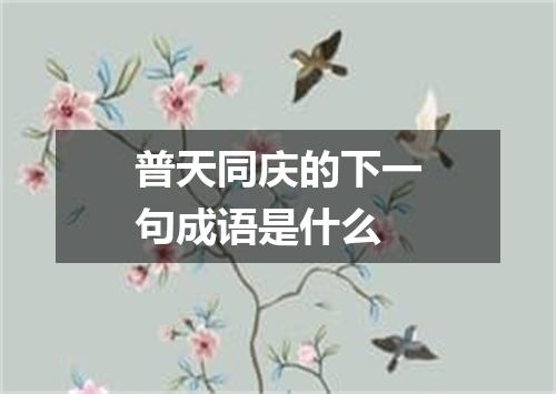 普天同庆的下一句成语是什么