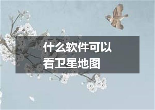 什么软件可以看卫星地图