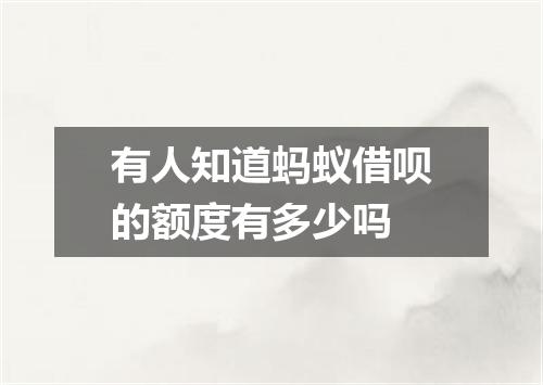 有人知道蚂蚁借呗的额度有多少吗