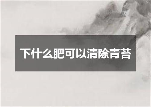 下什么肥可以清除青苔