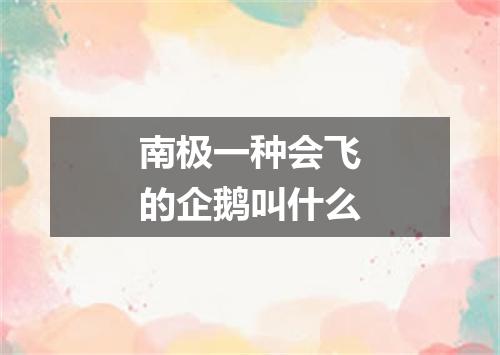 南极一种会飞的企鹅叫什么